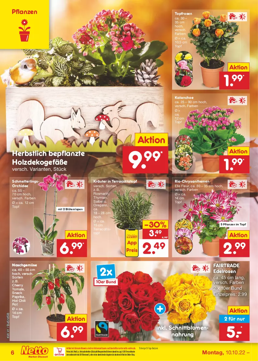 Aktueller Prospekt Netto Marken-Discount - Filial-Angebote - von 10.10 bis 15.10.2022 - strona 6 - produkty: bestpreis, blume, blumen, Blüte, chili, chrysanthemen, eis, elle, Holz, hot chili, Kalanchoe, kräuter, Mett, ndk, orchidee, paprika, pflanze, pflanzen, reis, Ria, rosen, rosmarin, Schmetterling, schmetterlingsorchidee, snack, Ti, tomate, topf, versandkostenfrei, ZTE