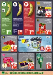 Gazetka promocyjna Edeka - Prospekte - Gazetka - ważna od 07.03 do 07.03.2026 - strona 6 - produkty: banane, bananen, Bau, bio, deka, edeka bio, eier, eis, elle, hortensie, Koriander, mac, minze, petersilie, pflanze, pflanzen, reis, Ria, Ti, tisch, usb, ZTE