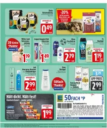 Gazetka promocyjna Edeka - Prospekte - Gazetka - ważna od 20.06 do 20.06.2026 - strona 25 - produkty: angebot, arla, asti, beutel, colgate, coupon, coupons, creme, deka, deo, deo roll-on, dove, duschgel, eis, flasche, Haarlack, haarspray, katzennahrung, katzensnack, lack, LG, nivea, oder schaumfestiger, pantene, pantene pro-v, papier, payback, pro-v, reis, roll-on, Schal, Schale, schaumfestiger, shampoo, sheba, snack, spülung, Taft, Ti, tiernahrung, tisch, Wild, zahncreme, ZTE