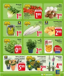 Gazetka promocyjna Edeka - Prospekte - Gazetka - ważna od 20.06 do 20.06.2026 - strona 5 - produkty: braun, champignon, champignons, champignons braun, deka, K2, kuchen, lebensmittel, mehl, Pak Choi, salat, topf