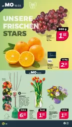 Gazetka promocyjna Netto - Woche 12 - Gazetka - ważna od 23.03 do 23.03.2024 - strona 2 - produkty: apfel, auer, Bau, eis, kirsch, kirsche, obst, orange, orangen, pfirsich, pflaume, Ria, Ti, trauben, Vase
