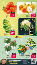 Gazetka promocyjna Netto - Woche 12 - Gazetka - ważna od 23.03 do 23.03.2024 - strona 3 - produkty: angebot, Birnen, blume, blumen, blumenkohl, eis, reis, ring, tomate, tomaten