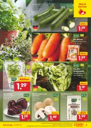 Gazetka promocyjna Netto Marken-Discount - Filial-Angebote - Gazetka - ważna od 13.08 do 13.08.2022 - strona 9 - produkty: angebot, bestpreis, beutel, bio, bio-zucchini, braun, champignon, champignons, eis, knoblauch, möhren, obst, reis, Romanasalat, rote bete, salat, Schal, Schale, Ti, ZTE, zucchini