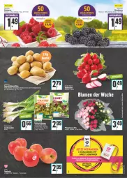 Gazetka promocyjna E Center - Angebote der Woche - Gazetka - ważna od 25.06 do 25.06.2022 - strona 3 - produkty: beere, beeren, beutel, brombeere, brombeeren, himbeer, himbeere, himbeeren, Lauchzwiebel, lauchzwiebeln, mehl, radieschen, Schal, Schale, Ti, zwiebel, zwiebeln