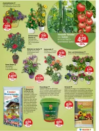 Gazetka promocyjna Vmarkt - Prospekte - Gazetka - ważna od 24.04 do 24.04.2024 - strona 19 - produkty: blume, blumen, blumenerde, calibrachoa, dünger, eis, ente, erde, Garten, gartennelke, Gartenpflanze, mehl, natur, orchidee, orchideen, pflanze, pflanzen, rasen, rasendünger, rosen, Ti, topf, usb, WICK, zauberglöckchen