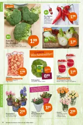 Gazetka promocyjna Tegut - Angebote der Woche - Gazetka - ważna od 08.01 do 08.01.2022 - strona 10 - produkty: angebot, angebote, Bau, Becher, bio, Bio-Paprika, blume, blumen, Blumen und Pflanzen, brokkoli, datteltomaten, dekoration, eis, eisbergsalat, fenchel, HP, paprika, pflanze, pflanzen, reis, ring, rosen, sac, salat, Ti, tomate, tomaten, topf, zwiebel, zwiebeln