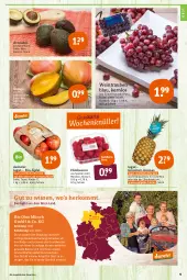 Gazetka promocyjna Tegut - Angebote der Woche - Gazetka - ważna od 08.01 do 08.01.2022 - strona 11 - produkty: ananas, angebot, angebote, avocado, avocados, Bau, beere, beeren, bio, dekoration, eis, früchte, himbeer, himbeere, himbeeren, mac, mango, obst, reis, Schal, Schale, Ti, trauben, wasser, wein