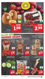 Gazetka promocyjna Marktkauf - Prospekt - Gazetka - ważna od 25.06 do 25.06.2022 - strona 11 - produkty: bio, deka, Eichblattsalat, Elan, kiwi, Kiwi Gold, kohlrabi, rhabarber, ring, sac, salat, Schal, Schale, Spezi, tafeläpfel, Ti, tomate, tomaten, zespri