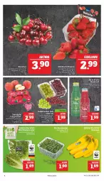 Gazetka promocyjna Marktkauf - Prospekt - Gazetka - ważna od 25.06 do 25.06.2022 - strona 8 - produkty: banane, bananen, bio, cola, deka, direktsaft, edeka bio, flasche, LG, Romanasalat, rucola, saft, salat, Schal, Schale, tafeläpfel, tafeltrauben, Ti, trauben