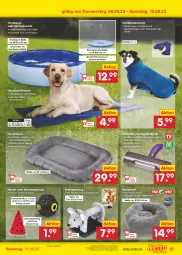 Gazetka promocyjna Netto Marken-Discount - Filial-Angebote - Gazetka - ważna od 10.06 do 10.06.2023 - strona 37 - produkty: Abba, angebot, aust, Bad, Bademantel, ball, batterie, Bau, bestpreis, eis, elle, kissen, led-licht, leine, Mantel, minze, pool, reis, snack, snacks, spielzeug, Stier, Ti, topper, wasser, ZTE