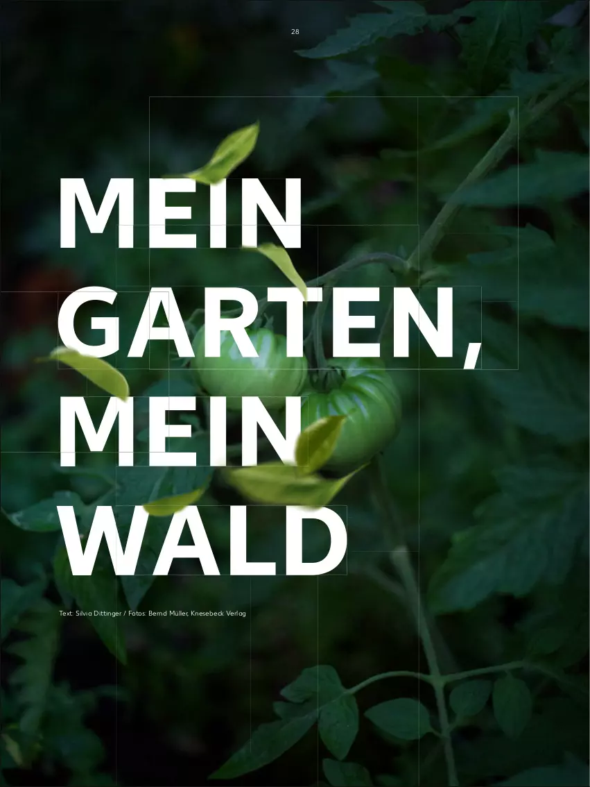 Aktueller Prospekt Kaufland - Frühjahrsausgabe von „Das gute Leben“ - von 06.03 bis 28.04.2023 - strona 28 - produkty: Garten, Müller, Ti