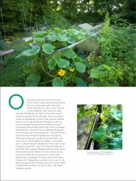 Gazetka promocyjna Kaufland - Frühjahrsausgabe von „Das gute Leben“ - Gazetka - ważna od 28.04 do 28.04.2023 - strona 30 - produkty: Bau, buch, erde, Garten, Kraut, Müller, natur, pflanze, pflanzen, Rauch, reifen, ring, rwe, Ti, ZTE