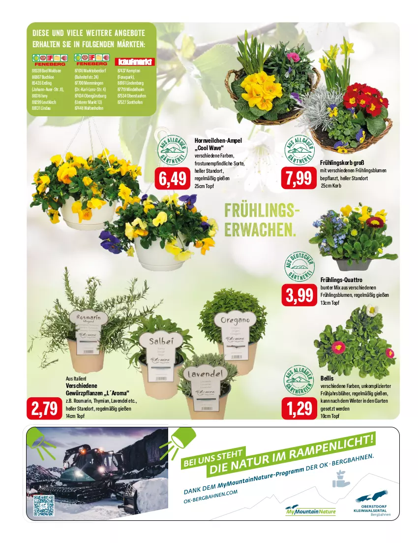 Aktueller Prospekt Feneberg - Prospekte - von 21.03 bis 23.03.2024 - strona 12 - produkty: angebot, angebote, auer, Bad, blume, blumen, buch, chloe, elle, emmi, erde, Garten, gewürz, korb, lavendel, LG, Ofen, pflanze, pflanzen, rosmarin, topf