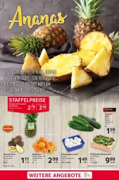 Gazetka promocyjna Selgros - Food - Gazetka - ważna od 12.06 do 12.06.2024 - strona 5 - produkty: ACC, ananas, aprikose, aprikosen, avocado, champignon, champignons, eis, LG, reis, salat, sana, Schal, Schale, Ti, zucchini