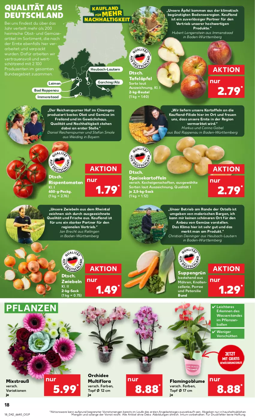 Aktueller Prospekt Kaufland - Prospekt - von 19.10 bis 25.10.2023 - strona 18 - produkty: angebot, Bad, ball, Bau, beutel, blume, die kaufland, eis, elle, ente, gabel, Gewächshaus, Heu, kartoffel, kartoffeln, möhren, obst, Obst und Gemüse, orchidee, petersilie, pflanze, pflanzen, Ria, rispentomaten, sac, speisekartoffeln, suppe, suppen, tafeläpfel, Ti, tisch, tomate, tomaten, topf, topf ø 12 cm, und gemüse, wasser, ZTE, zwiebel, zwiebeln