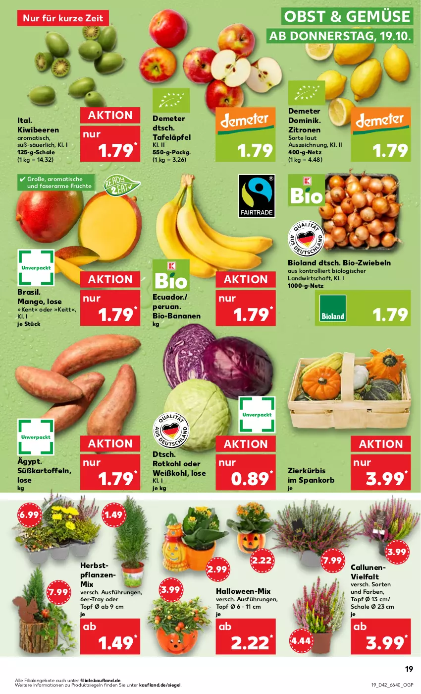 Aktueller Prospekt Kaufland - Prospekt - von 19.10 bis 25.10.2023 - strona 19 - produkty: angebot, angebote, banane, bananen, beere, beeren, bio, bio-bananen, bioland, früchte, kartoffel, kartoffeln, kiwi, korb, Kürbis, mango, obst, pflanze, pflanzen, rotkohl, Schal, Schale, Süßkartoffeln, tafeläpfel, Ti, tisch, topf, trolli, Weißkohl, zitrone, zitronen, zwiebel, zwiebeln