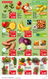 Gazetka promocyjna Kaufland - Prospekt - Gazetka - ważna od 25.10 do 25.10.2023 - strona 19 - produkty: angebot, angebote, banane, bananen, beere, beeren, bio, bio-bananen, bioland, früchte, kartoffel, kartoffeln, kiwi, korb, Kürbis, mango, obst, pflanze, pflanzen, rotkohl, Schal, Schale, Süßkartoffeln, tafeläpfel, Ti, tisch, topf, trolli, Weißkohl, zitrone, zitronen, zwiebel, zwiebeln