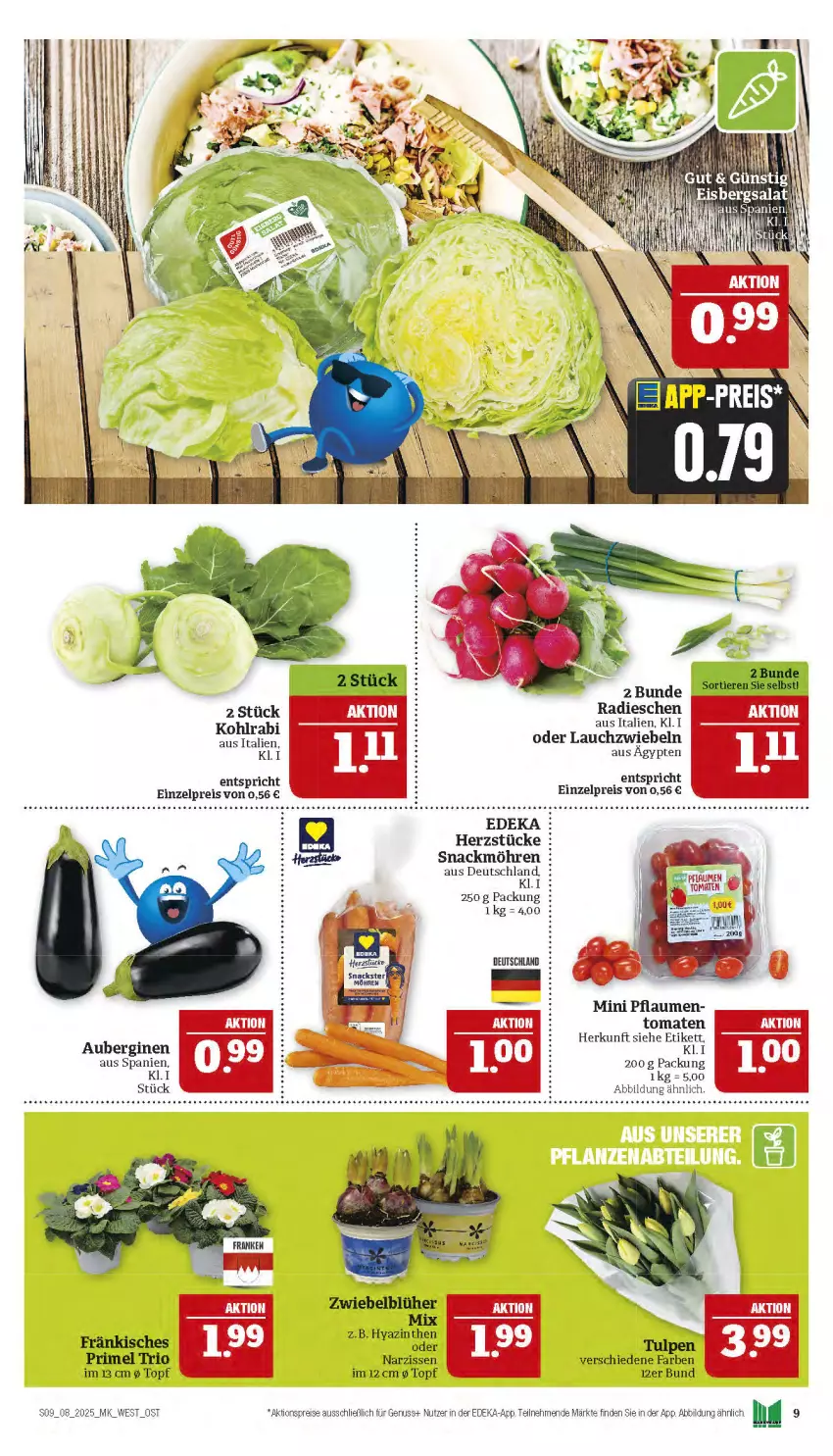 Aktueller Prospekt Marktkauf - Prospekt - von 16.02 bis 22.02.2025 - strona 9 - produkty: aktionspreis, aubergine, auberginen, deka, eis, gin, Lauchzwiebel, lauchzwiebeln, möhren, Narzissen, nuss, pflaume, pflaumen, radieschen, reis, snack, Ti, tomate, tomaten, topf, zwiebel, zwiebeln