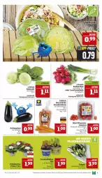 Gazetka promocyjna Marktkauf - Prospekt - Gazetka - ważna od 22.02 do 22.02.2025 - strona 9 - produkty: aktionspreis, aubergine, auberginen, deka, eis, gin, Lauchzwiebel, lauchzwiebeln, möhren, Narzissen, nuss, pflaume, pflaumen, radieschen, reis, snack, Ti, tomate, tomaten, topf, zwiebel, zwiebeln