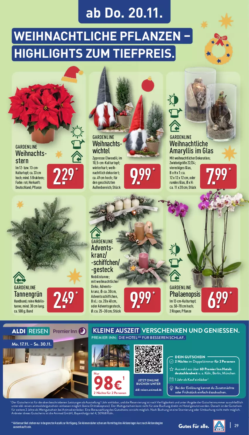 Aktueller Prospekt Aldi Nord - Von Montag - von 17.11 bis 22.11.2025 - strona 29 - produkty: Adventskranz, aldi, buch, dekoration, eis, erde, gin, gutschein, Kranz, kulturtopf, leine, LG, pflanze, pflanzen, phalaenopsis, reis, Schiffchen, tee, Ti, tiefpreis, topf, Weihnachtsstern, Wichtel, ZTE, zwiebel