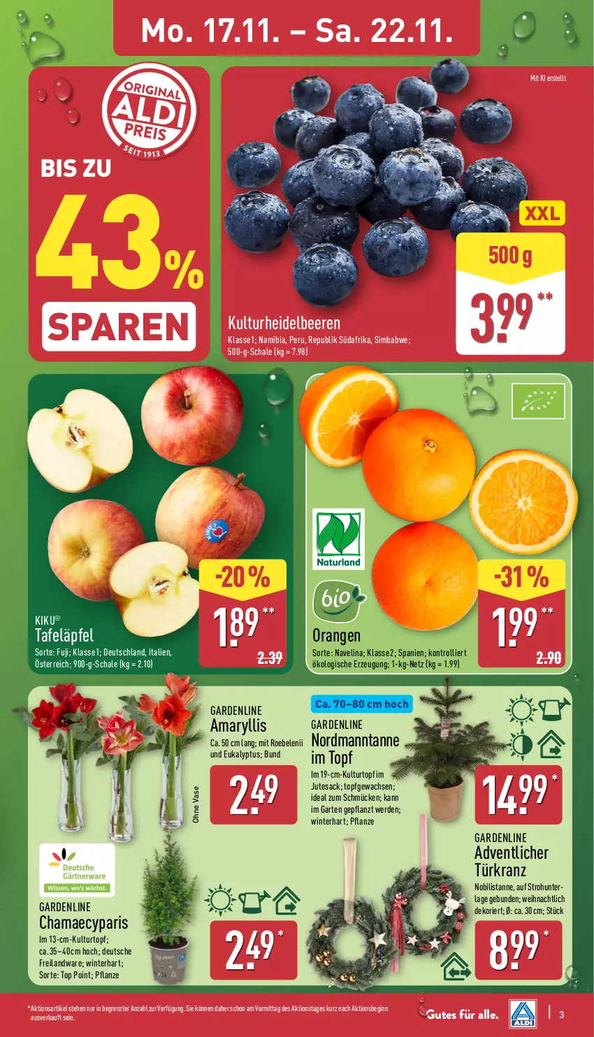 Aktueller Prospekt Aldi Nord - Von Montag - von 17.11 bis 22.11.2025 - strona 3 - produkty: beere, beeren, erde, Garten, gin, hama, heidelbeere, heidelbeeren, Kranz, kulturtopf, navelina, orange, orangen, pflanze, sac, Schal, Schale, sim, simba, tafeläpfel, tesa, Ti, topf, trolli, Türkranz, Vase, ZTE