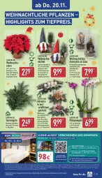 Gazetka promocyjna Aldi Nord - Von Montag - Gazetka - ważna od 22.11 do 22.11.2025 - strona 29 - produkty: Adventskranz, aldi, buch, dekoration, eis, erde, gin, gutschein, Kranz, kulturtopf, leine, LG, pflanze, pflanzen, phalaenopsis, reis, Schiffchen, tee, Ti, tiefpreis, topf, Weihnachtsstern, Wichtel, ZTE, zwiebel
