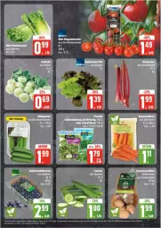 Gazetka promocyjna Edeka - Prospekte - Gazetka - ważna od 20.04 do 20.04.2024 - strona 5 - produkty: ball, deka, eis, kohlrabi, reis, rispentomaten, salat, Ti, tomate, tomaten, ZTE