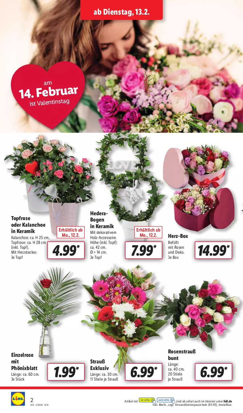 Aktueller Prospekt Lidl - Aktionsprospekt - von 12.02 bis 17.02.2024 - strona 2 - produkty: ACC, Holz, Kalanchoe, ndk, rosen, Rosenstrauß, Schal, Schale, Ti, topf