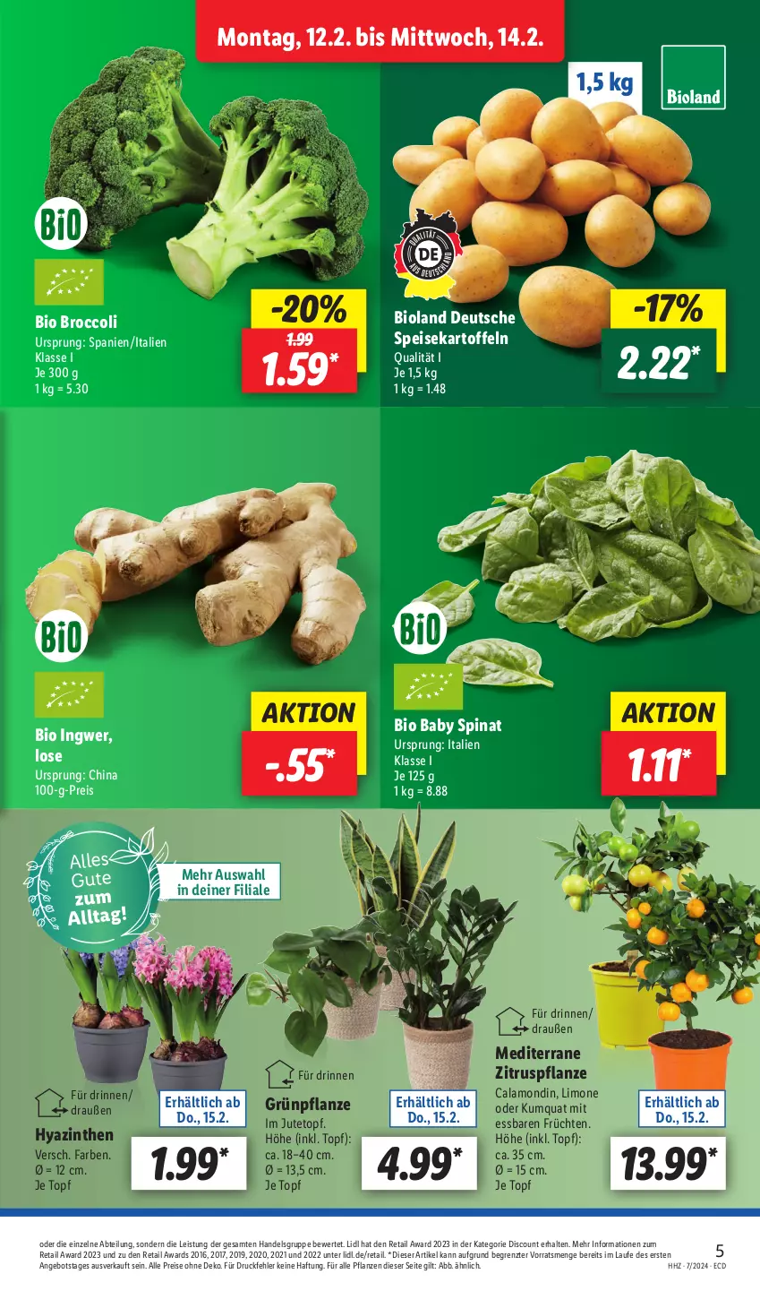 Aktueller Prospekt Lidl - Aktionsprospekt - von 12.02 bis 17.02.2024 - strona 5 - produkty: Abtei, angebot, bio, bioland, broccoli, discount, eis, früchte, früchten, ingwer, kartoffel, kartoffeln, limo, pflanze, pflanzen, reis, speisekartoffeln, spinat, Ti, topf, ZTE