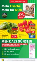 Gazetka promocyjna Lidl - Aktionsprospekt - Gazetka - ważna od 17.02 do 17.02.2024 - strona 4 - produkty: angebot, coupon, discount, eis, frucht, magazin, obst, Obst und Gemüse, pril, reis, Romatomaten, salat, Ti, tomate, tomaten, und gemüse