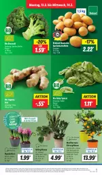 Gazetka promocyjna Lidl - Aktionsprospekt - Gazetka - ważna od 17.02 do 17.02.2024 - strona 5 - produkty: Abtei, angebot, bio, bioland, broccoli, discount, eis, früchte, früchten, ingwer, kartoffel, kartoffeln, limo, pflanze, pflanzen, reis, speisekartoffeln, spinat, Ti, topf, ZTE