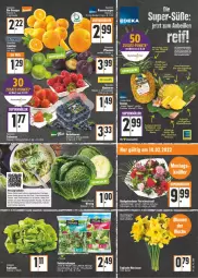 Gazetka promocyjna E Center - Angebote der Woche - Gazetka - ważna od 19.02 do 19.02.2022 - strona 3 - produkty: ananas, angebot, beere, beeren, beutel, bio, blume, blumen, elle, Esskastanien, früchte, himbeer, himbeere, himbeeren, Kohlrouladen, kopfsalat, kräuter, lebensmittel, Narzissen, orange, orangen, pflaume, pflaumen, rezept, rind, rinder, rouladen, salat, Schal, Schale, Ti, Vegeta, Wirsing