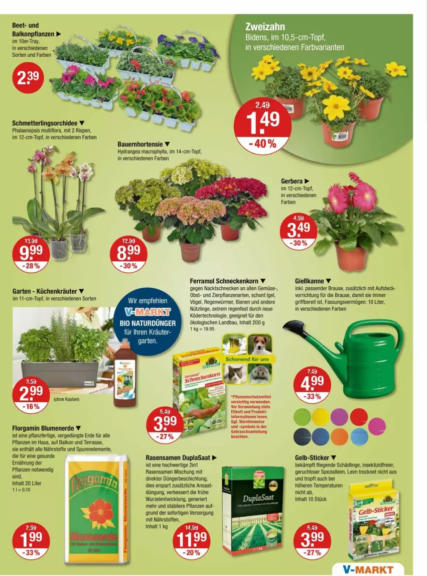 Aktueller Prospekt Vmarkt - Prospekte - von 04.04 bis 10.04.2024 - strona 23 - produkty: auer, Bau, Bauer, bio, blume, blumen, blumenerde, brause, dünger, eier, ente, erde, ferramol schneckenkorn, Garten, Gerber, Gießkanne, hortensie, hydrangea, hydrangea macrophylla, Insektizid, korn, kräuter, küche, Küchen, Liege, mac, Mett, natur, obst, orchidee, pflanze, pflanzen, phalaenopsis, rasen, rasensamen, Schmetterling, schmetterlingsorchidee, schneckenkorn, sekt, Spezi, Ti, topf, WICK