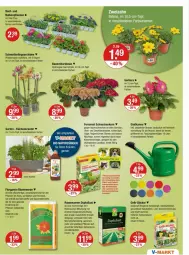 Gazetka promocyjna Vmarkt - Prospekte - Gazetka - ważna od 10.04 do 10.04.2024 - strona 23 - produkty: auer, Bau, Bauer, bio, blume, blumen, blumenerde, brause, dünger, eier, ente, erde, ferramol schneckenkorn, Garten, Gerber, Gießkanne, hortensie, hydrangea, hydrangea macrophylla, Insektizid, korn, kräuter, küche, Küchen, Liege, mac, Mett, natur, obst, orchidee, pflanze, pflanzen, phalaenopsis, rasen, rasensamen, Schmetterling, schmetterlingsorchidee, schneckenkorn, sekt, Spezi, Ti, topf, WICK