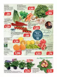 Gazetka promocyjna Feneberg - Prospekte - Gazetka - ważna od 29.01 do 29.01.2022 - strona 6 - produkty: apfel, Bau, bio, bio-zitronen, braun, champignon, champignons, champignons braun, dip, eintöpfe, eis, elle, ente, grana, granatapfel, ilag, joghur, joghurt, karotten, kopfsalat, Kraut, LG, linsen, Löffel, mac, orange, orangen, papier, Papiertüte, paprika, paprika rot, petersilie, pflanze, Radicchio, Rana, reis, rispentomaten, salat, Schal, Schale, Spitzpaprika, suppe, suppen, tafeltrauben, Ti, tisch, tomate, tomaten, topf, trauben, Tüte, vita, wrap, zitrone, zitronen