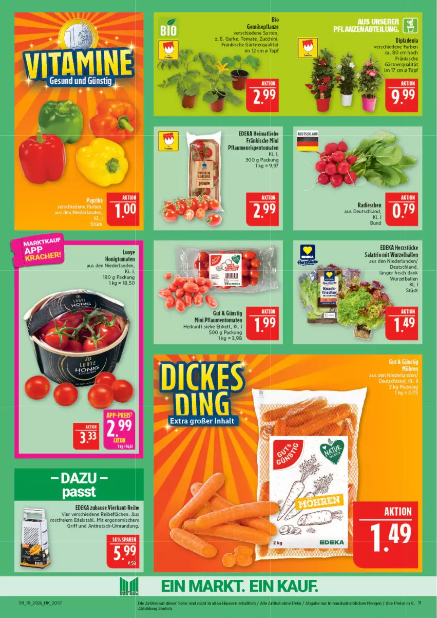 Aktueller Prospekt Marktkauf - Prospekt - von 26.04 bis 02.05.2026 - strona 11 - produkty: ball, bio, deka, dip, dipladenia, edelstahl, eis, gurke, honig, Honigtomaten, pflanze, pflaume, pflaumen, radieschen, reis, rispentomaten, salat, Ti, tomate, tomaten, topf, zucchini