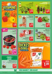 Gazetka promocyjna Marktkauf - Prospekt - Gazetka - ważna od 02.05 do 02.05.2026 - strona 11 - produkty: ball, bio, deka, dip, dipladenia, edelstahl, eis, gurke, honig, Honigtomaten, pflanze, pflaume, pflaumen, radieschen, reis, rispentomaten, salat, Ti, tomate, tomaten, topf, zucchini