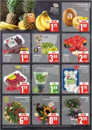 Gazetka promocyjna Edeka - Prospekte - Gazetka - ważna od 10.08 do 10.08.2024 - strona 7 - produkty: banane, bananen, beere, beeren, blume, blumen, champignon, champignons, chrysanthemen, eis, himbeer, himbeere, himbeeren, kräuter, LG, petersilie, reis, sonnenblume, sonnenblumen, tafeltrauben, Ti, topf, trauben, ZTE