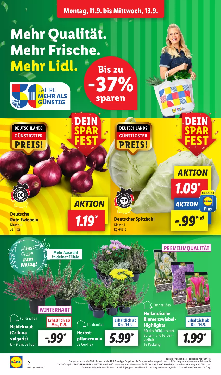 Aktueller Prospekt Lidl - Aktionsprospekt - von 11.09 bis 16.09.2023 - strona 2 - produkty: angebot, blume, blumen, coupon, discount, eis, frucht, Heidekraut, Kraut, LG, magazin, obst, pflanze, pflanzen, reis, Rote Zwiebel, spitzkohl, Ti, topf, und gemüse, zwiebel, zwiebeln