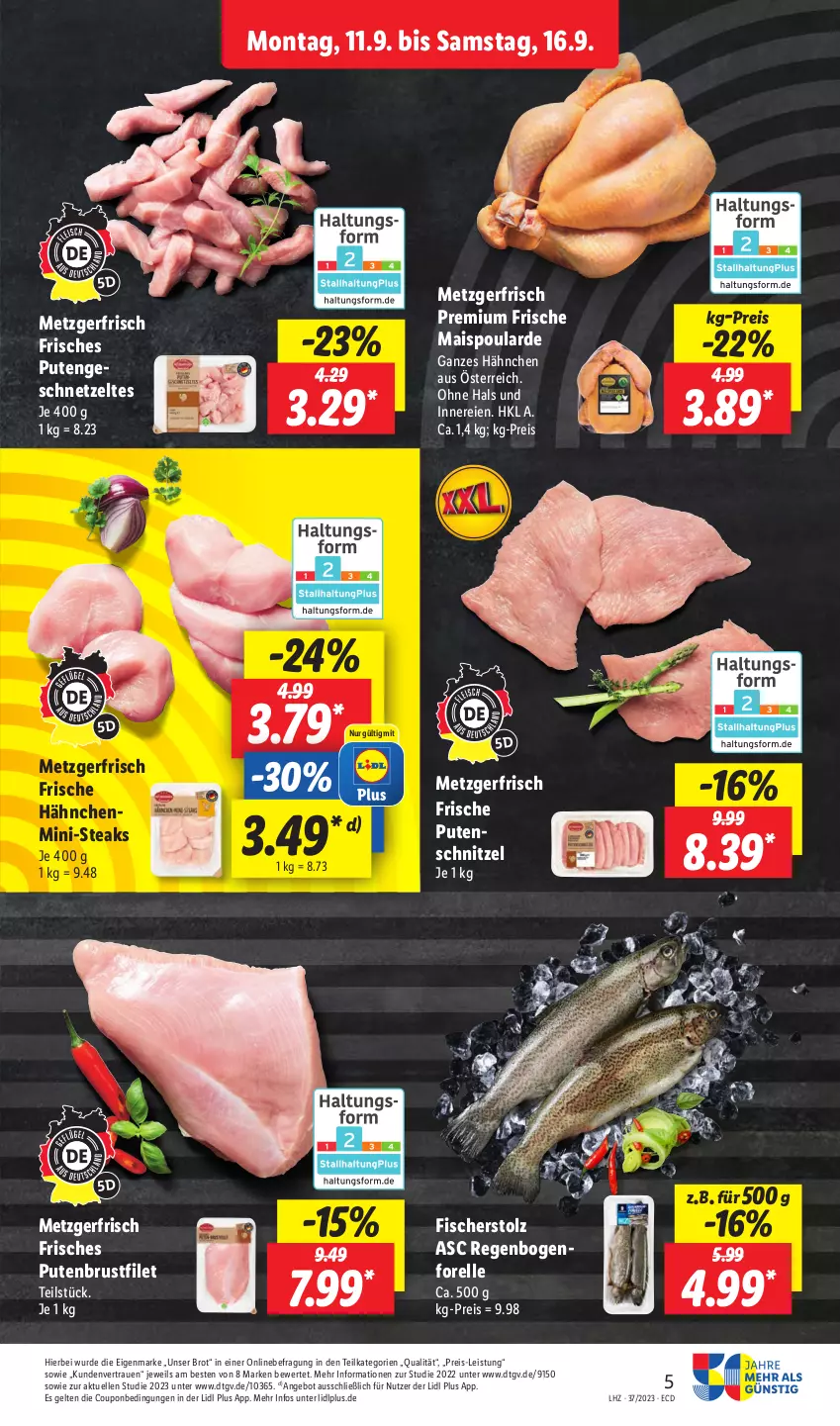 Aktueller Prospekt Lidl - Aktionsprospekt - von 11.09 bis 16.09.2023 - strona 5 - produkty: angebot, brot, brustfilet, coupon, eis, elle, filet, fisch, fische, Fischer, forelle, Frische Hähnchen, geschnetzeltes, mais, pute, putenbrust, putenbrustfilet, Putengeschnetzeltes, putenschnitzel, reis, rel, schnitzel, steak, steaks, Ti, Zelt