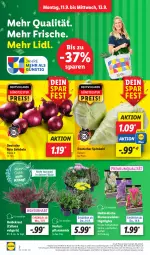 Gazetka promocyjna Lidl - Aktionsprospekt - Gazetka - ważna od 16.09 do 16.09.2023 - strona 2 - produkty: angebot, blume, blumen, coupon, discount, eis, frucht, Heidekraut, Kraut, LG, magazin, obst, pflanze, pflanzen, reis, Rote Zwiebel, spitzkohl, Ti, topf, und gemüse, zwiebel, zwiebeln