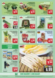 Gazetka promocyjna Marktkauf - Prospekt - Gazetka - ważna od 17.05 do 17.05.2025 - strona 9 - produkty: aktionspreis, balkonpflanzen, Becher, Begonie, brokkoli, deka, edelstahl, eis, gurke, gurken, hollandaise, Lauchzwiebel, lauchzwiebeln, mini-gurken, nuss, pflanze, pflanzen, pflaume, pflaumen, radieschen, reis, rispentomaten, rosen, sauce, spargel, thomy, thomy les sauces, Ti, tomate, tomaten, topf, ZTE, zwiebel, zwiebeln
