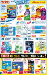 Gazetka promocyjna Norma - Norma - Gazetka - ważna od 19.06 do 19.06.2023 - strona 8 - produkty: Allzwecktücher, apfel, bio, biozidprodukte, Blüte, Cap, citrus, eis, elle, fenster, Fettlöser, flasche, Germ, geschirr, geschirrspüler, Körbchen, kraft, lavendel, Liege, Mett, natur, orchidee, Rauch, reifen, reiniger, Reinigung, rwe, Schmetterling, sekt, sprühflasche, spülmittel, Ti, tuc, tücher, vanille, weck, weichspüler, zitrone