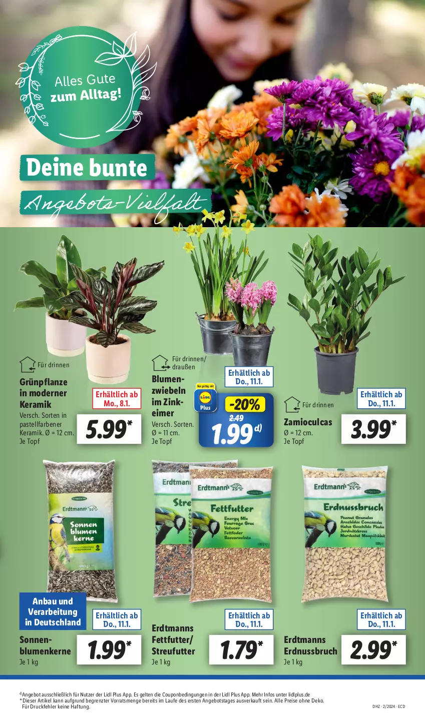 Aktueller Prospekt Lidl - Aktionsprospekt - von 08.01 bis 13.01.2024 - strona 15 - produkty: angebot, Bau, blume, blumen, coupon, eimer, eis, erdnuss, Mode, nuss, pflanze, reis, Streufutter, Ti, topf, ZTE, zwiebel, zwiebeln