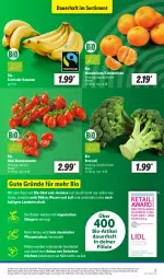 Gazetka promocyjna Lidl - Aktionsprospekt - Gazetka - ważna od 13.01 do 13.01.2024 - strona 3 - produkty: angebot, auer, banane, bananen, Bau, beko, bio, Bio-Obst, broccoli, clementinen, discount, dünger, eis, erde, früchte, früchten, mandarine, mandarinen, obst, pflanze, pflanzen, reis, Romatomaten, rwe, Ti, tomate, tomaten, wasser, ZTE