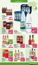 Gazetka promocyjna Wasgau - Gazetka - ważna od 21.02 do 21.02.2026 - strona 17 - produkty: Alwa, bacardi, bacardi rum, Cap, captain morgan, chantré, coca-cola, cola, ecco, eis, erfrischungsgetränk, flasche, fleisch, frucht, fruchtfleisch, gerolsteine, gerolsteiner, getränk, getränke, gin, Havana Club, mineralwasser, mw-flasche, orangina, pepsi, Pepsi Cola, pet-flasche, pet-flaschen, reis, rotkäppchen, rouge, rum, Schwip Schwap, steiner, Ti, wasser, wein, weinbrand