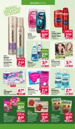Gazetka promocyjna Wasgau - Gazetka - ważna od 21.02 do 21.02.2026 - strona 19 - produkty: adventuros, beutel, Cap, carefree, creme, deo, deospray, Deostick, duschdas, dusche, eis, flasche, frucht, garnier, Guhl, haarspray, je 500-ml-flasche, kraft, listerine, mit frucht, mundspülung, nassfutter, Nutrisse, oder schaumfestiger, Old Spice, papier, purina, reis, rezept, Schal, Schale, schaumfestiger, shampoo, slip, slipeinlagen, snack, snacks, spülung, Ti, toilettenpapier, vita, vitakraft, Wella, wellaflex, zewa, zucker