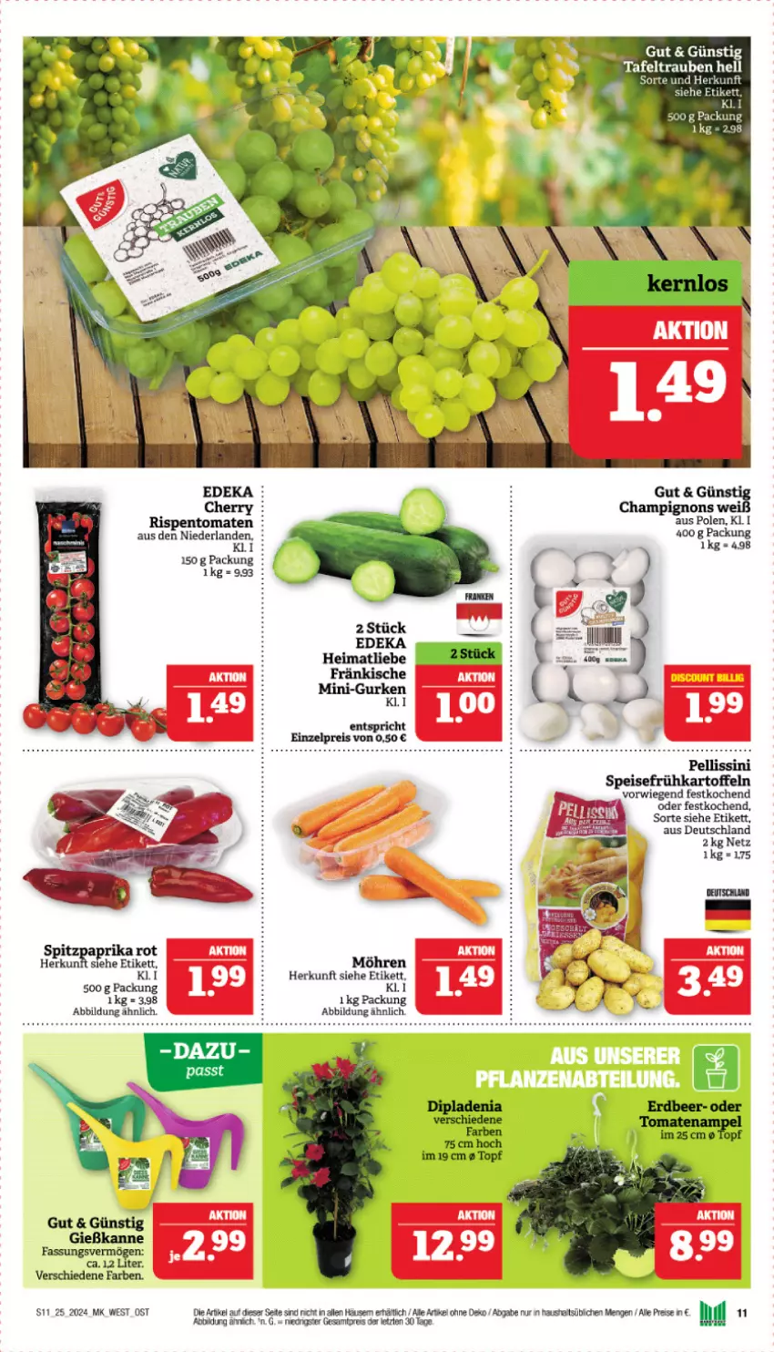 Aktueller Prospekt Marktkauf - Prospekt - von 16.06 bis 22.06.2024 - strona 11 - produkty: eis, Gießkanne, möhren, reis, tafeltrauben, Ti, trauben, ZTE