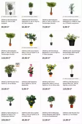 Gazetka promocyjna Obi - Prospekte - Gazetka - ważna od 08.11 do 08.11.2023 - strona 15 - produkty: Bau, citrus, dip, Garten, olive, oliven, Ti, topf