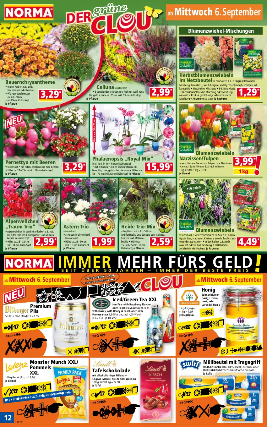 Aktueller Prospekt Norma - Norma - von 04.09 bis 11.09.2023 - strona 12 - produkty: alkohol, Alpenveilchen, auer, Bad, Bau, Bauer, beere, beeren, beutel, blume, blumen, Blüte, bügel, Cognac, flasche, grana, green tea, honig, kirsch, kosmetik, kulturtopf, lavendel, LG, messer, monster, müllbeutel, Narzissen, pflanze, pflanzen, phalaenopsis, pils, Pommels, premium pils, Rana, raspberry, schoko, schokolade, sonnenblume, sonnenblumen, tafelschokolade, Ti, topf, tragegriff, triumph, tuc, übertopf, zwiebel, zwiebeln